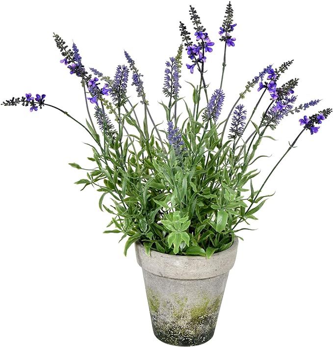 Vickerman Everyday 20" Artificial Lavender in Cement Pot - Faux Indoor Potted Flowers - for Home ... | Amazon (US)