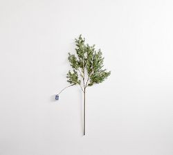Faux Lit Green Cedar Branch | Pottery Barn (US)
