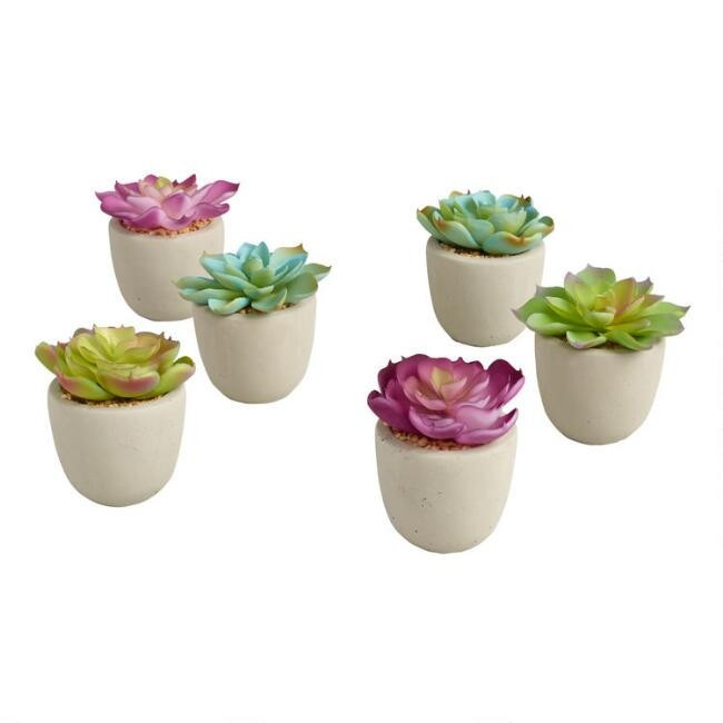Faux Mini Succulents in Cement Pots Set of 6 | World Market