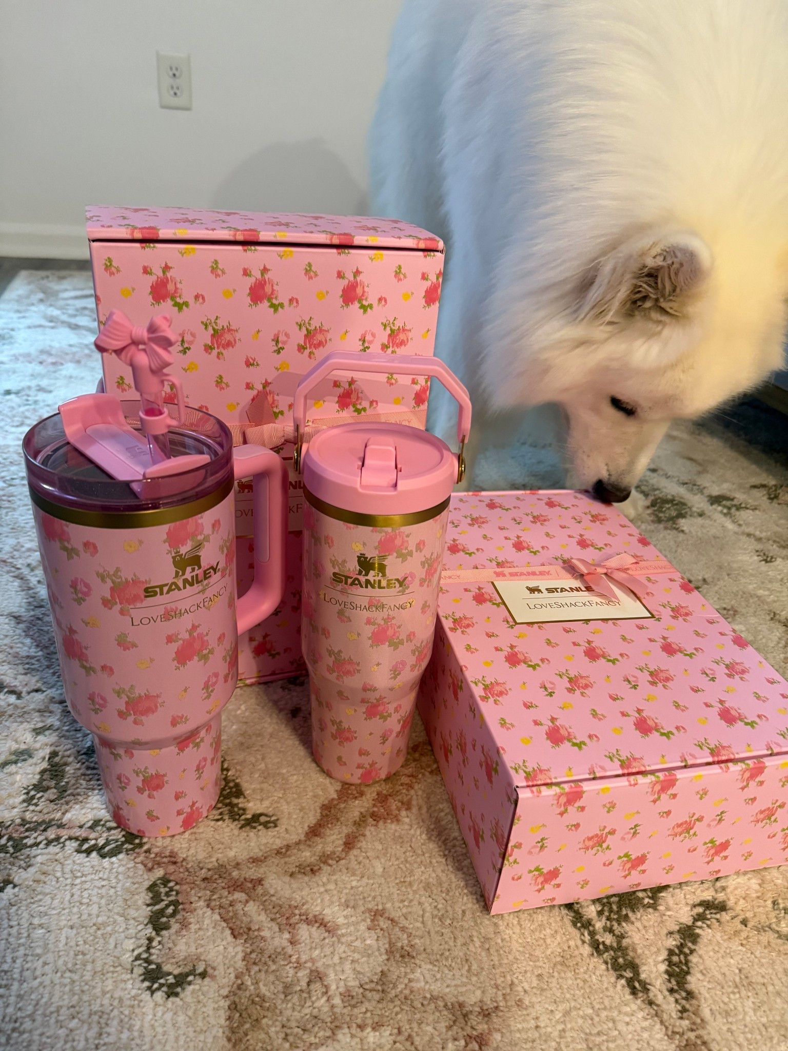 Holly pup approves of LoveSchackFancy x Stanley 🎀🌹