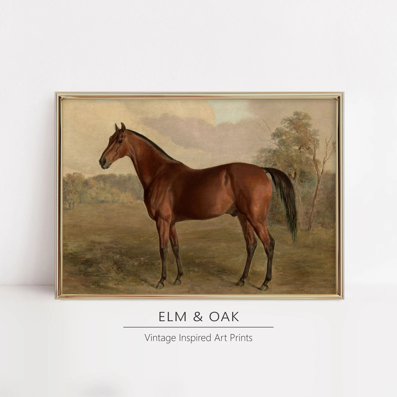 Classic Stallion | Vintage Horse Oil Painting | Antique Equestrian Art Print with Neutral Tones |... | Etsy (US)