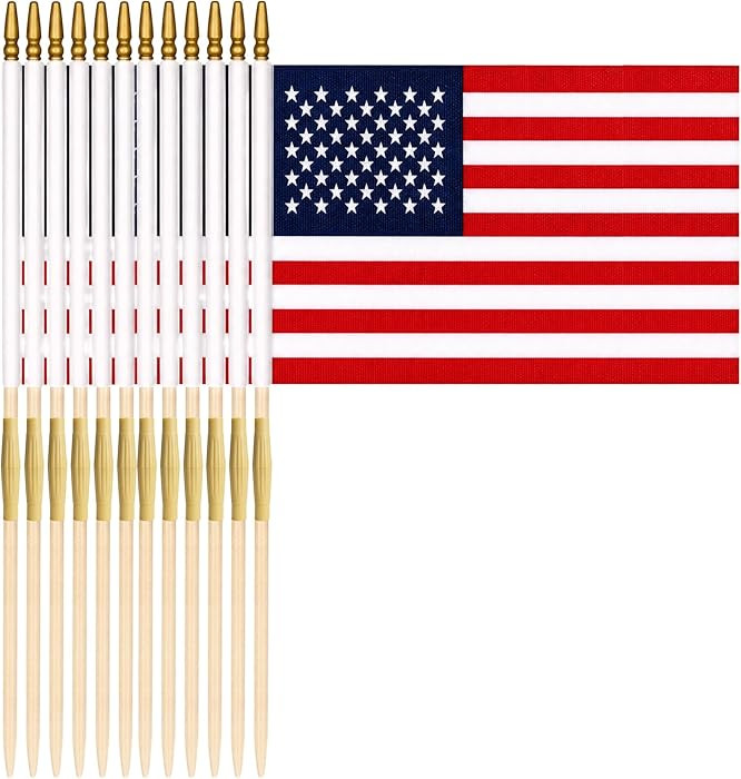 Handheld American Flags - Large 12 x 18 Inch Stick Flags with Spear Top (Pack of 12)- Premium US ... | Amazon (US)
