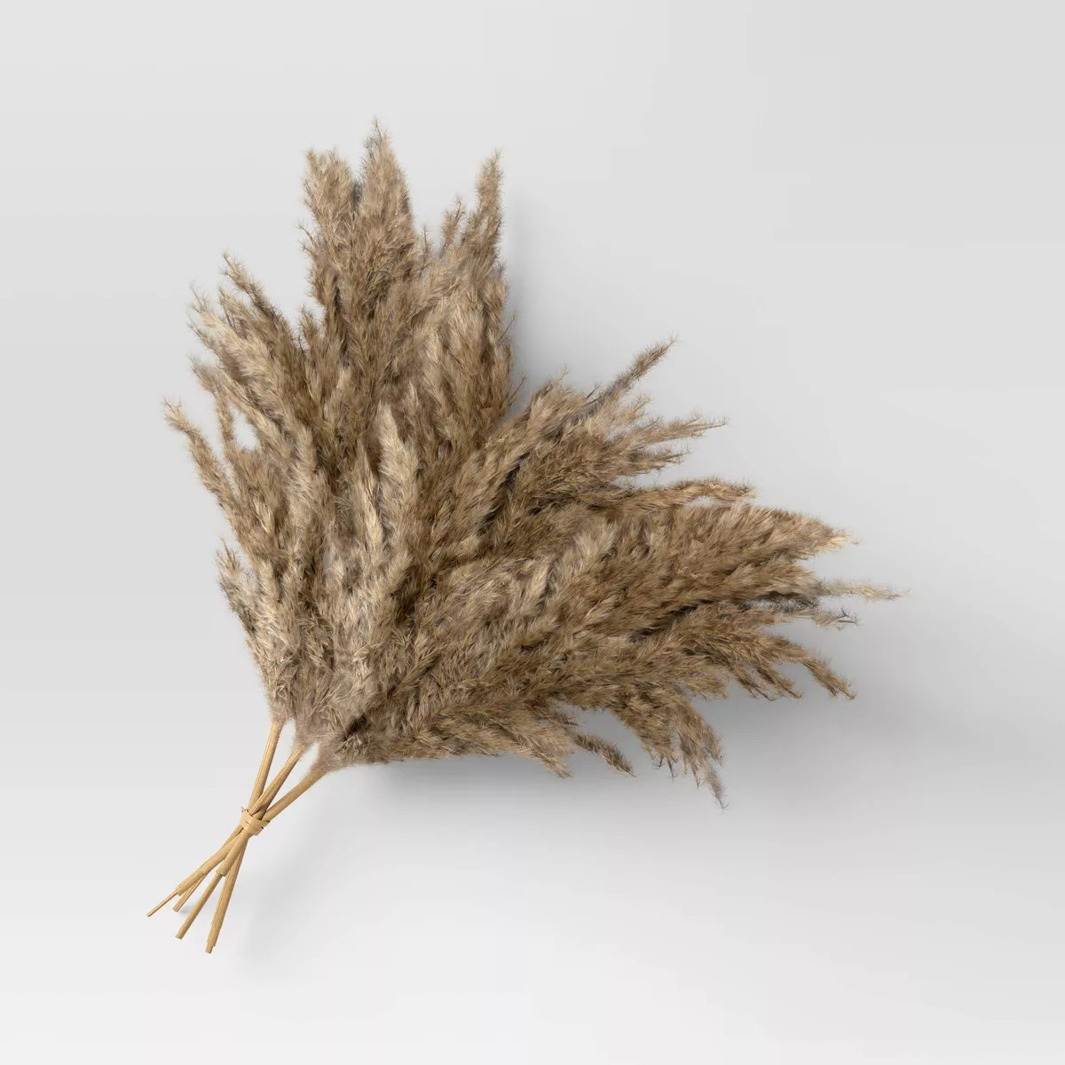 Natural Pampas Dried Grass Preserved Bundle Brown - Threshold™ | Target