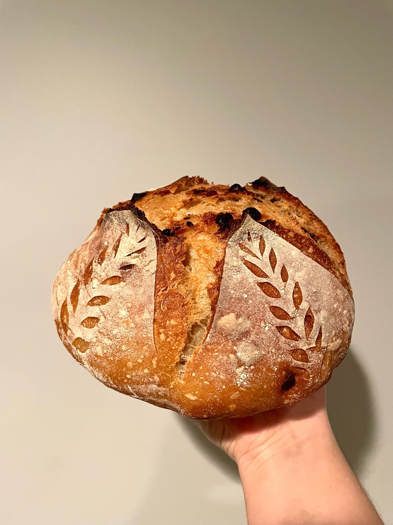 Sourdough creations 🤤

Baking, sourdough, making bread, scoring

#LTKfamily #LTKfindsunder50 #LTKhome