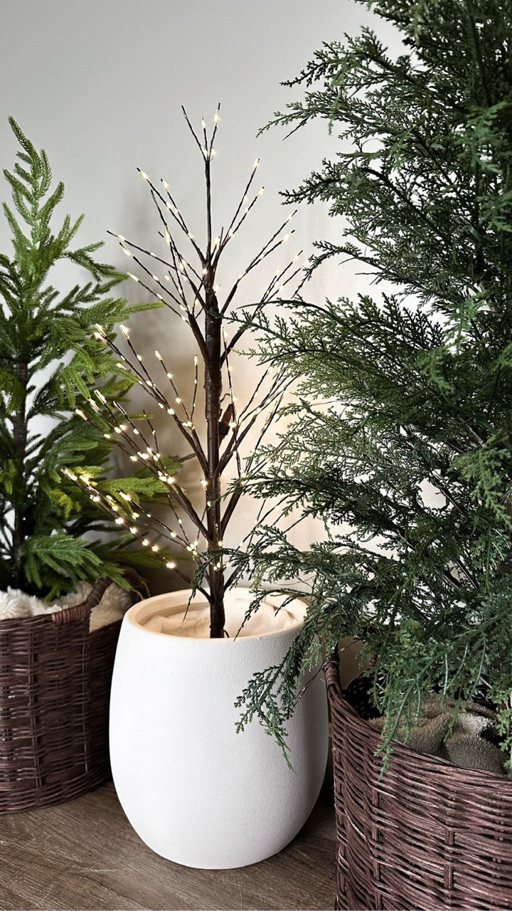 Twinkle trees for an affordable price and look exactly like the popular pricey brand. 


•Christmas •Christmas 2025 •Christmas decor •holidays •neutral Christmas •organic modern Christmas •twinkle trees •Christmas tree 

#LTKFamily #LTKHome #LTKSeasonal