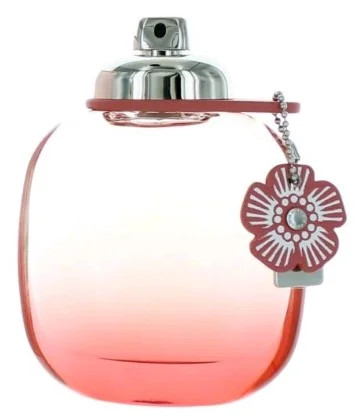 Coach Floral Blush Eau De Parfum Spray, Perfume for Women, 3 Oz | Walmart (US)