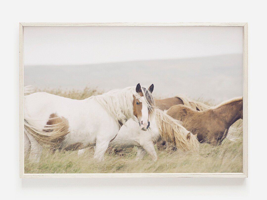 Horse Wall Art Horse Art Horse Print Art Large Horse Print - Etsy | Etsy (US)