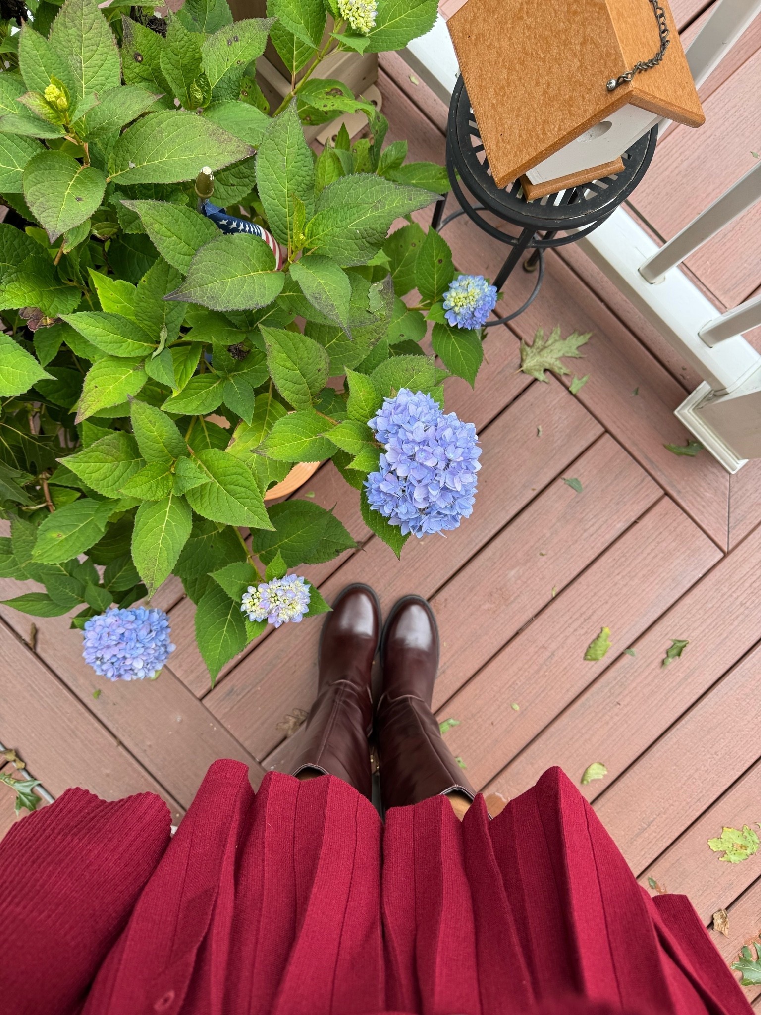 Loving my outfit today! Sneak peak

#LTKootd #LTKSeasonal #LTKOver40
