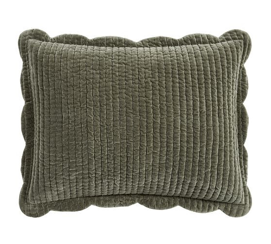 Velvet Scallop Edge Reversible Quilted Sham | Pottery Barn (US)