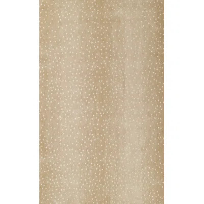 Area Rug | Wayfair North America