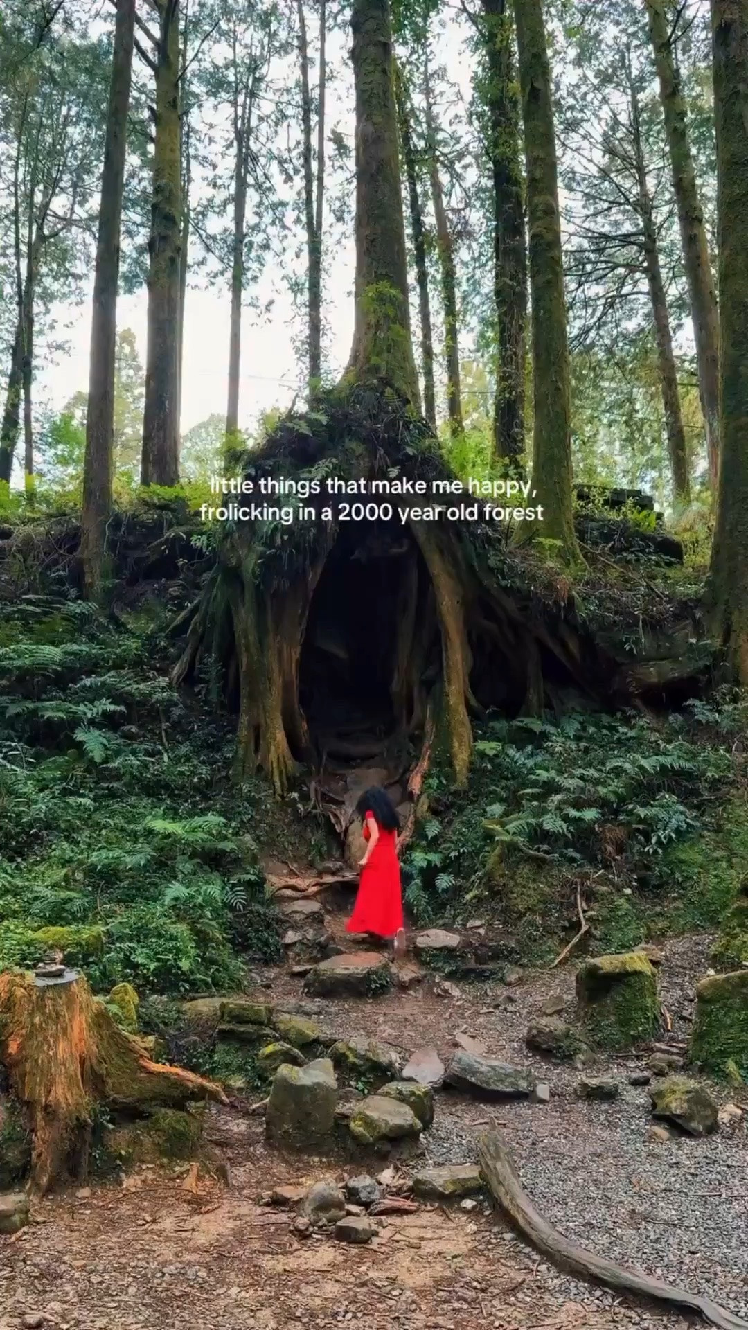 🌿 little things, big joy ✨

A walk through a 2,000-year-old forest felt like stepping into a real-life fairytale. This red dress was the perfect pop of color for the adventure.

#redress #travelstyle #outfitinspo #vacationoutfit #dressseason #fairytalevibes #naturelovers #travelfashion #amazonfashion #ootdstyle

#LTKdayinmylife #LTKTravel #LTKstorytime
