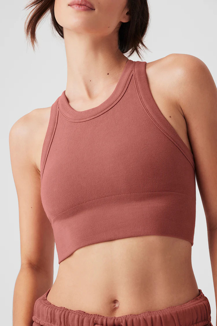 Seamless Delight High Neck Bra - Soft Terracotta | Alo Yoga (US)