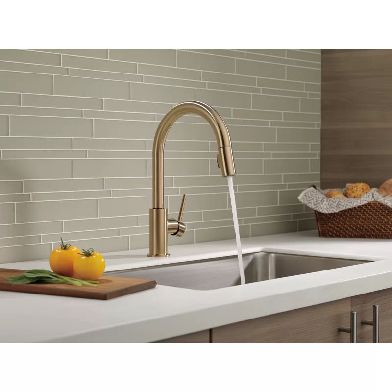 9159-CZ-DST Trinsic Pull Down Single Handle Kitchen Faucet with MagnaTite® Docking and Diamond S... | Wayfair North America