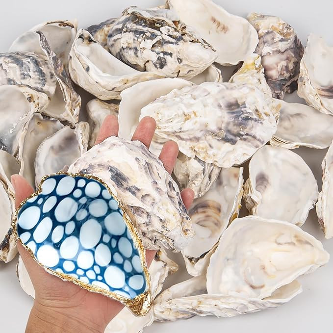 15PCS Oyster Shells 4"-5" Concave Oyster Shells for Crafts Natural Oyster Shells Bulk, for Home V... | Amazon (US)