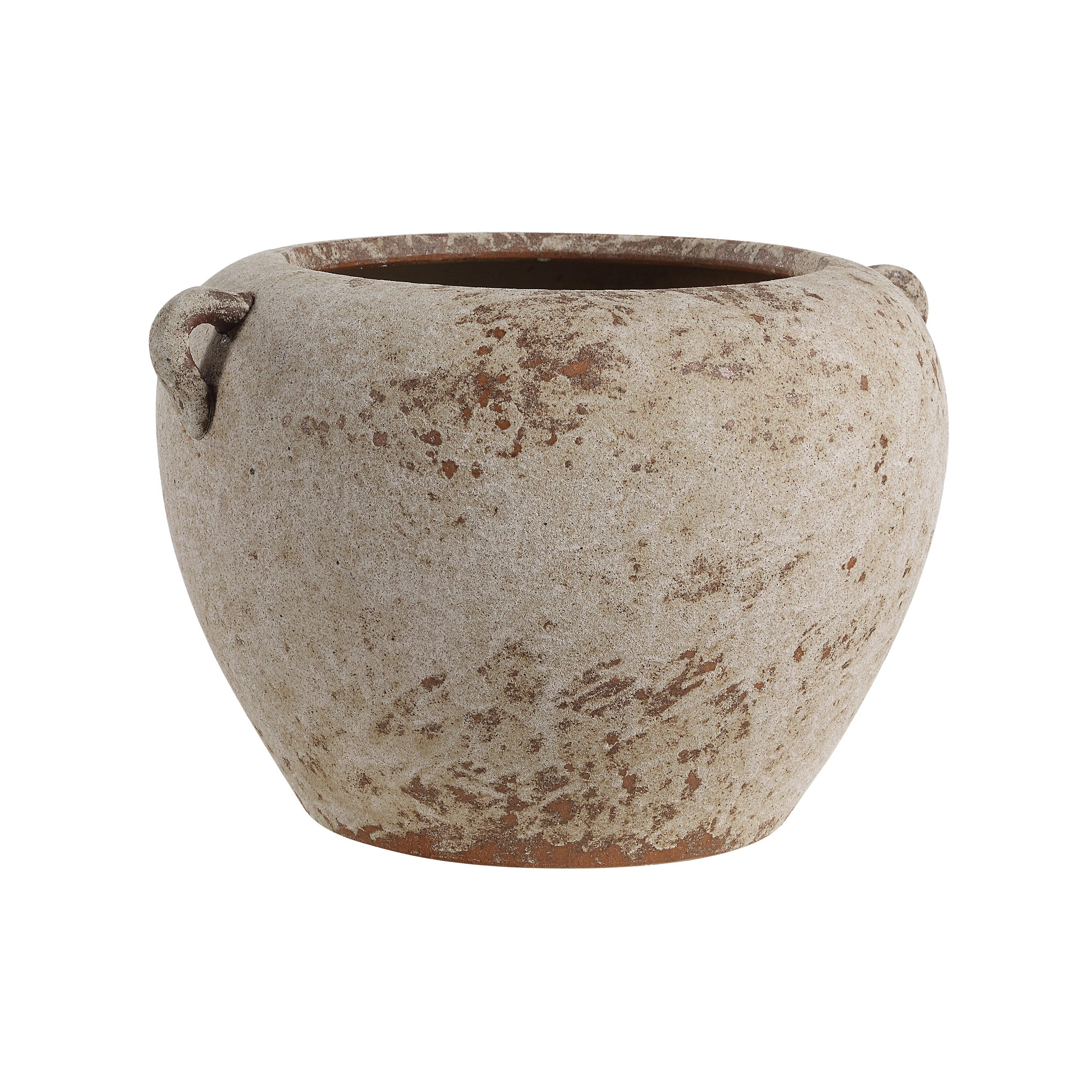 Severn Decorative Vase | Wayfair North America