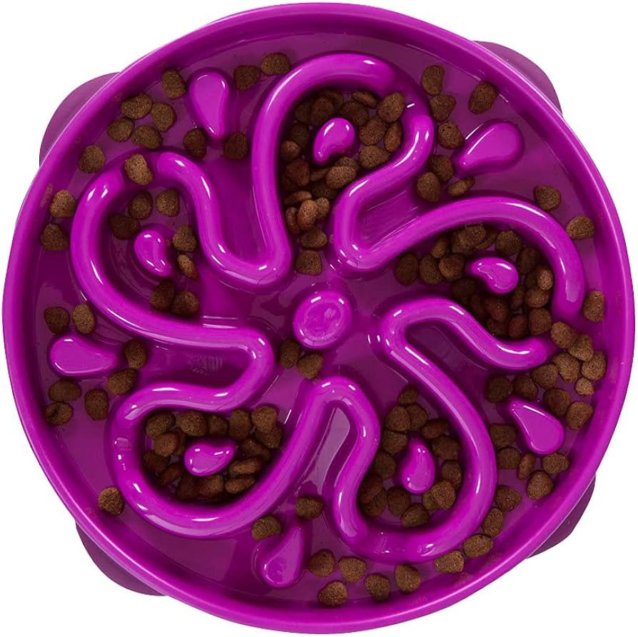 Outward Hound Fun Feeder Slo Bowl, Slow Feeder Dog Bowl, Large/Regular, Purple | Amazon (US)