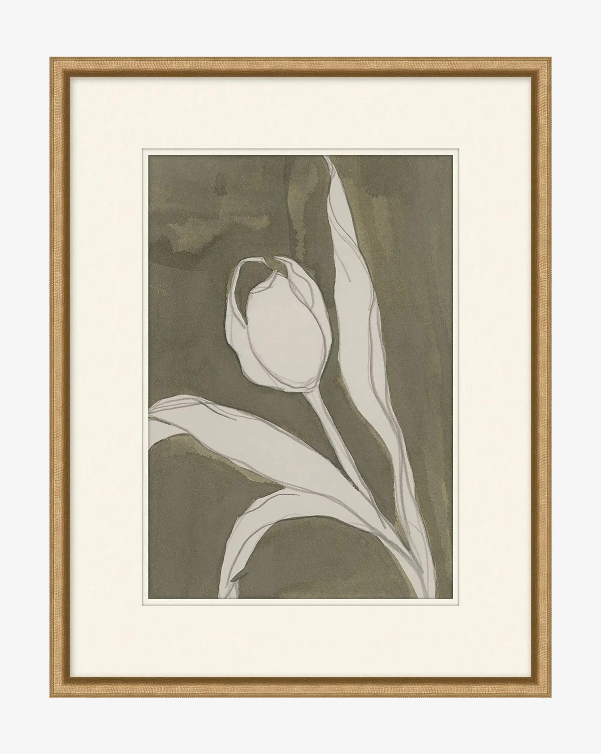 Delicate Tulip I by Rebekah Webb | McGee & Co. (US)