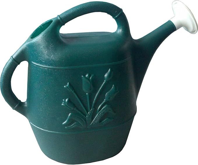 Cado 63065 2Gal Watering Can, Hunter Green, 2 gallon | Amazon (US)