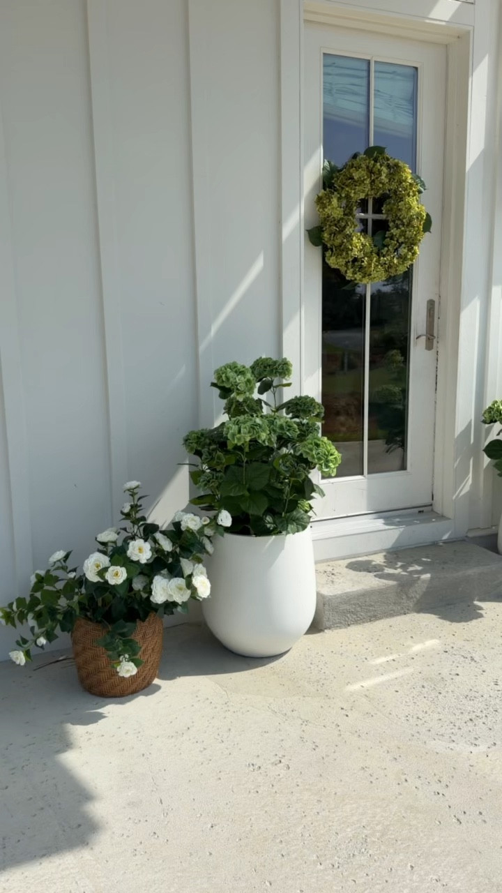 The most beautiful outdoor plants from Amazon and pots!

#LTKdayinmylife #LTKHome #LTKSeasonal