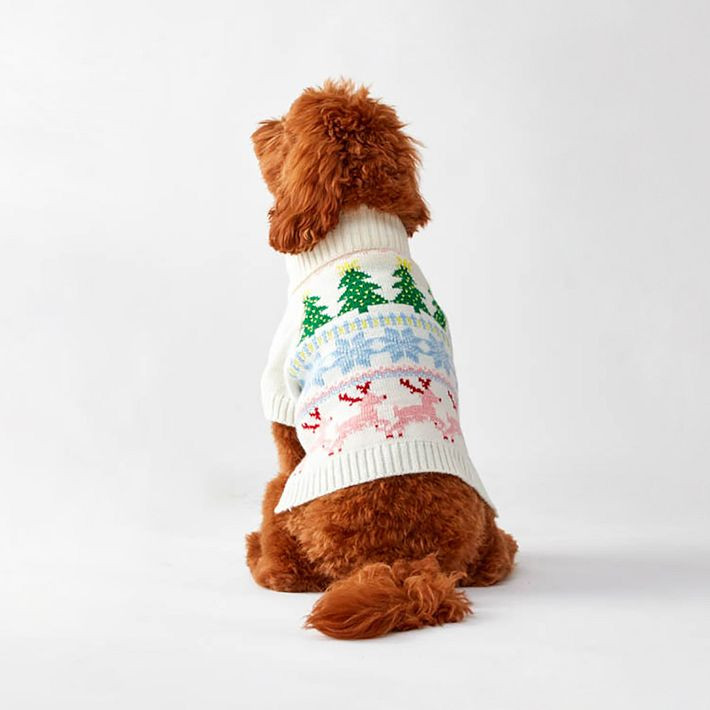 Knit Dog Sweater | Mark and Graham