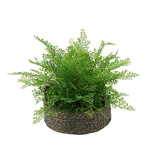 House of Silk Flowers Faux Maidenhair Fern in Grey-Wash Seagrass Basket | Walmart (US)