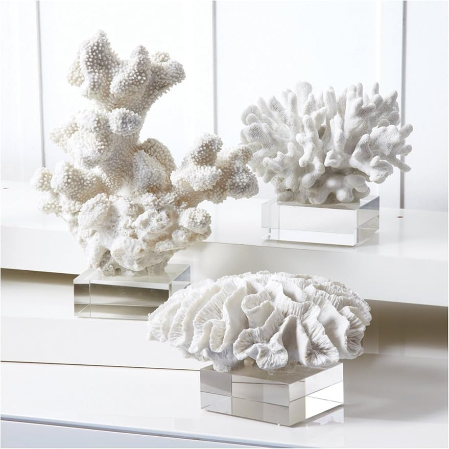Two's Company Set of Three White Coral Sculptures on Glass Stand | Amazon (US)