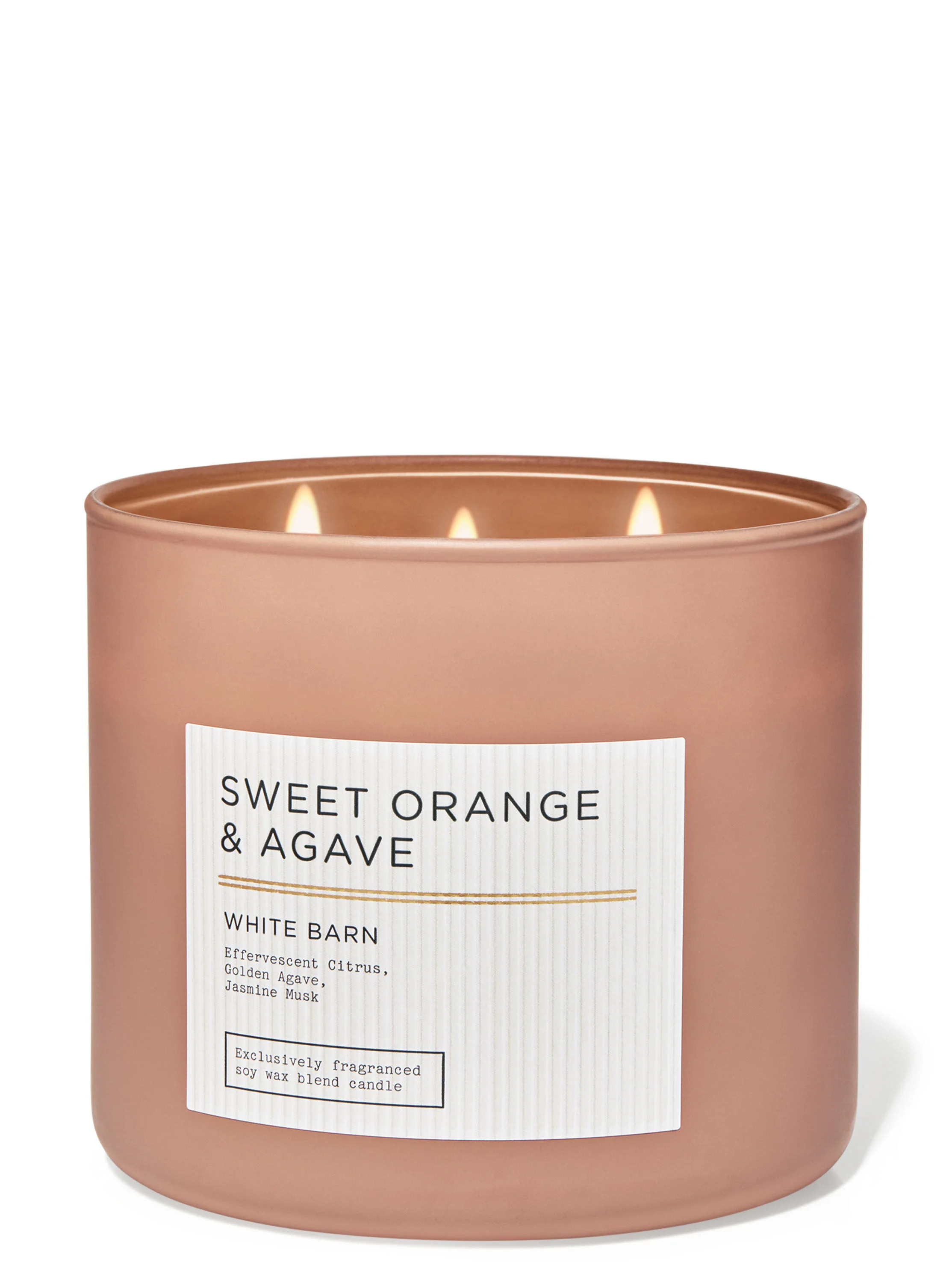 White Barn


Sweet Orange & Agave


3-Wick Candle | Bath & Body Works