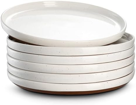 DOWAN 8.5" Salad Plates Set of 6, Ceramic Dessert Plate for Appetizer, Sushi, Microwave, Oven & D... | Amazon (US)