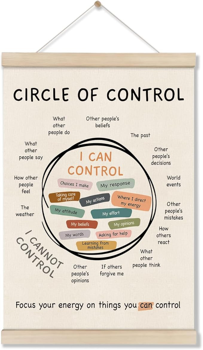 Mental Health Posters Hanger Frame, Circle Of Control Poster 16x12 Inch, Inspirational Wall Art f... | Amazon (US)