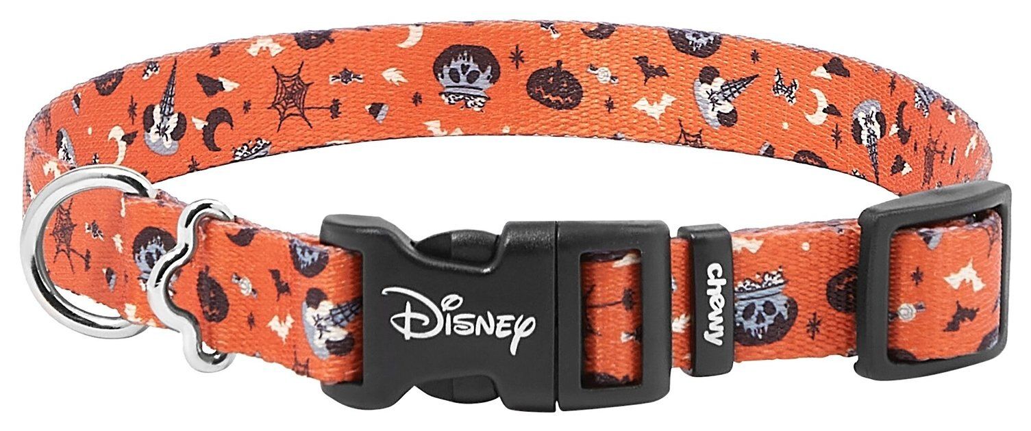 DISNEY Minnie Mouse Halloween Dog Collar, Small, Neck: 10 to 14 in, Width: 5/8-in - Chewy.com | Chewy.com