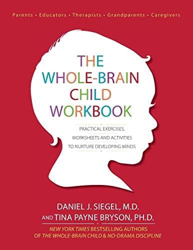 The Whole-Brain Child Workbook: Practical Exercises, Worksheets and Activitis to Nurture Developi... | Amazon (US)