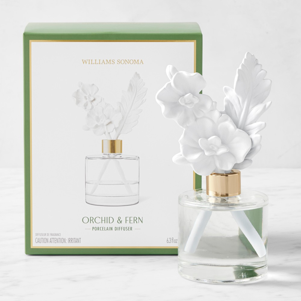 Home Fragrance Orchid & Fern Porcelain Diffuser | Williams-Sonoma