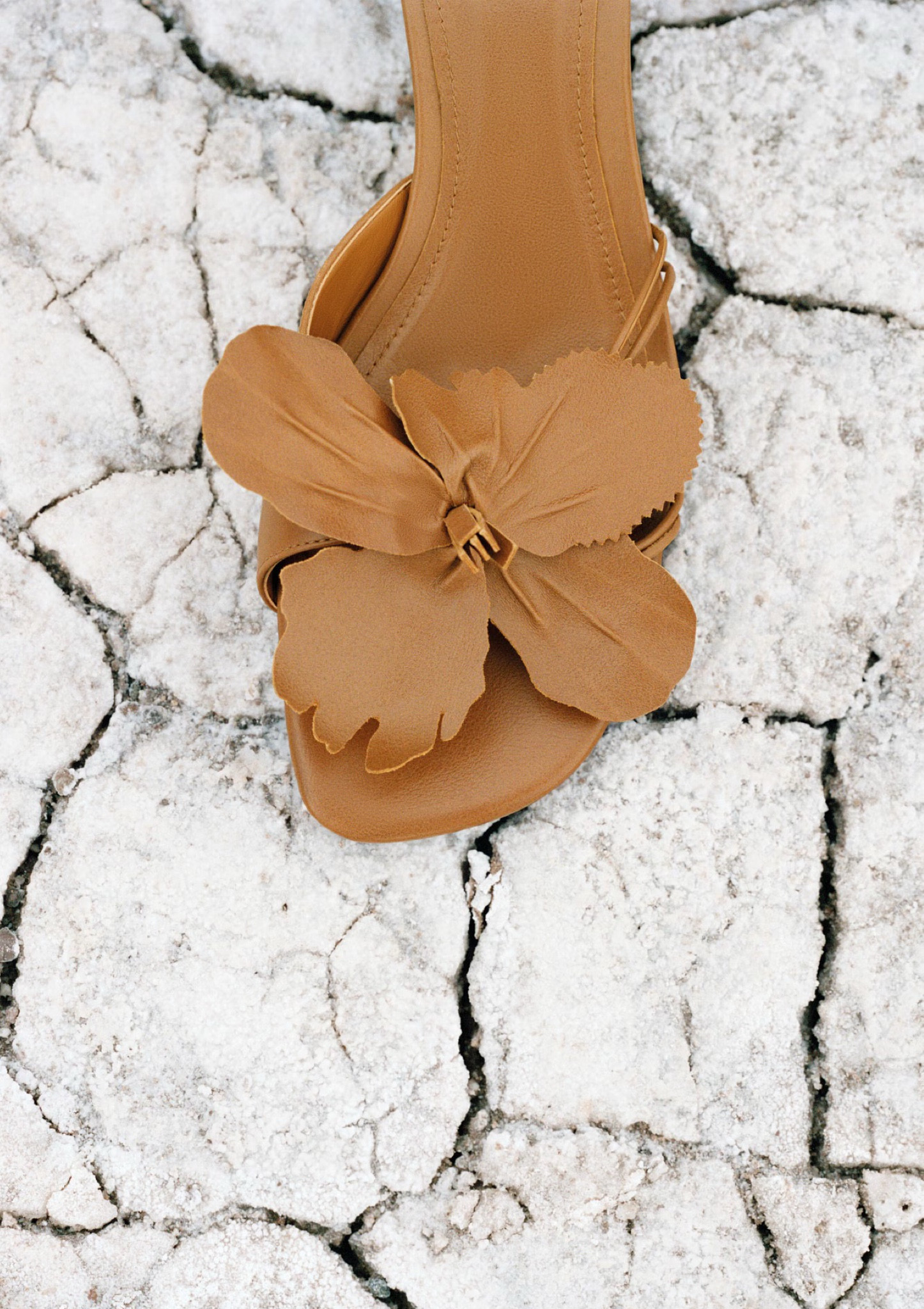 These camel leather floral sandals are to die for. 

Orchid sandal 
Wedding guest shoe 
Summer wedding heels

#LTKShoeCrush #LTKStyleTip