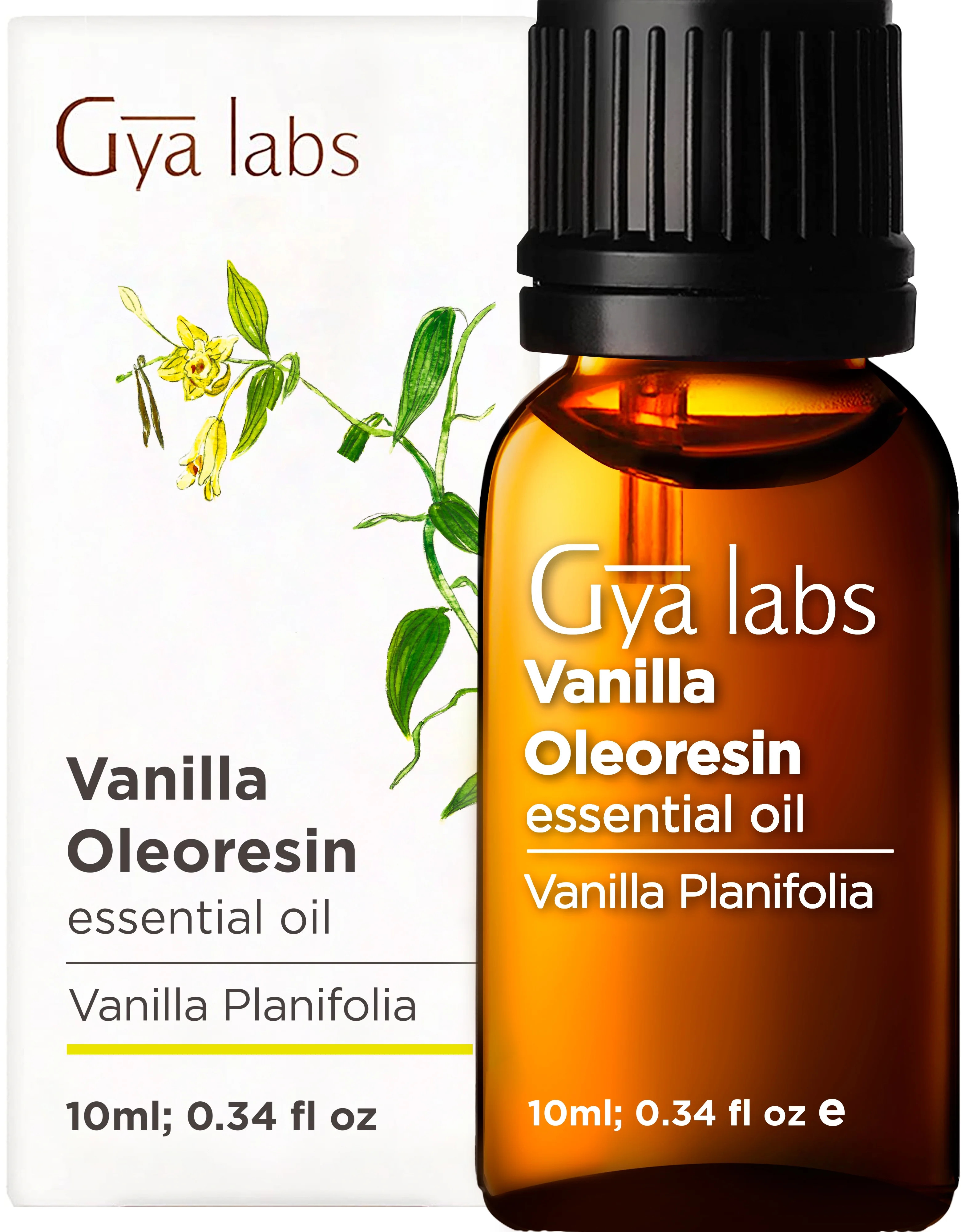 Gya Labs Vanilla Oleoresin Essential Oil for Relaxation and Romance - Sweet French Vanilla Essent... | Walmart (US)