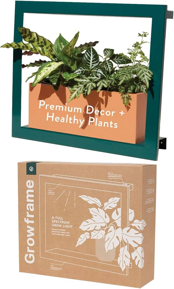 Modern Sprout Smart Growframe Wall Mounted LED Grow Light with Shelf - Emerald | Amazon (US)