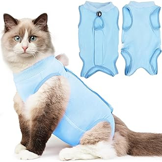 LIANZIMAU Cat Surgery Recovery Suit for Surgical Abdominal Wounds Home Indoor Pet Clothing E-Coll... | Amazon (US)