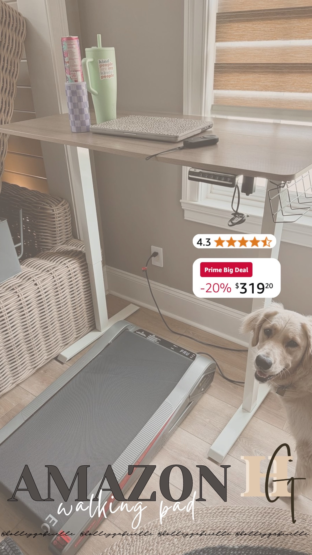 Under desk walking pad!!💪🏼 great way to get your steps in!! Has an incline and multiple speed options✨🤎

walking pad / treadmill / elevated walking pad / incline walking pad / home finds / fitness / home gym / prime day / Amazon / Amazon prime day / prime day finds / Holley Gabrielle 

#LTKSaleAlert #LTKHome #LTKxPrimeDay