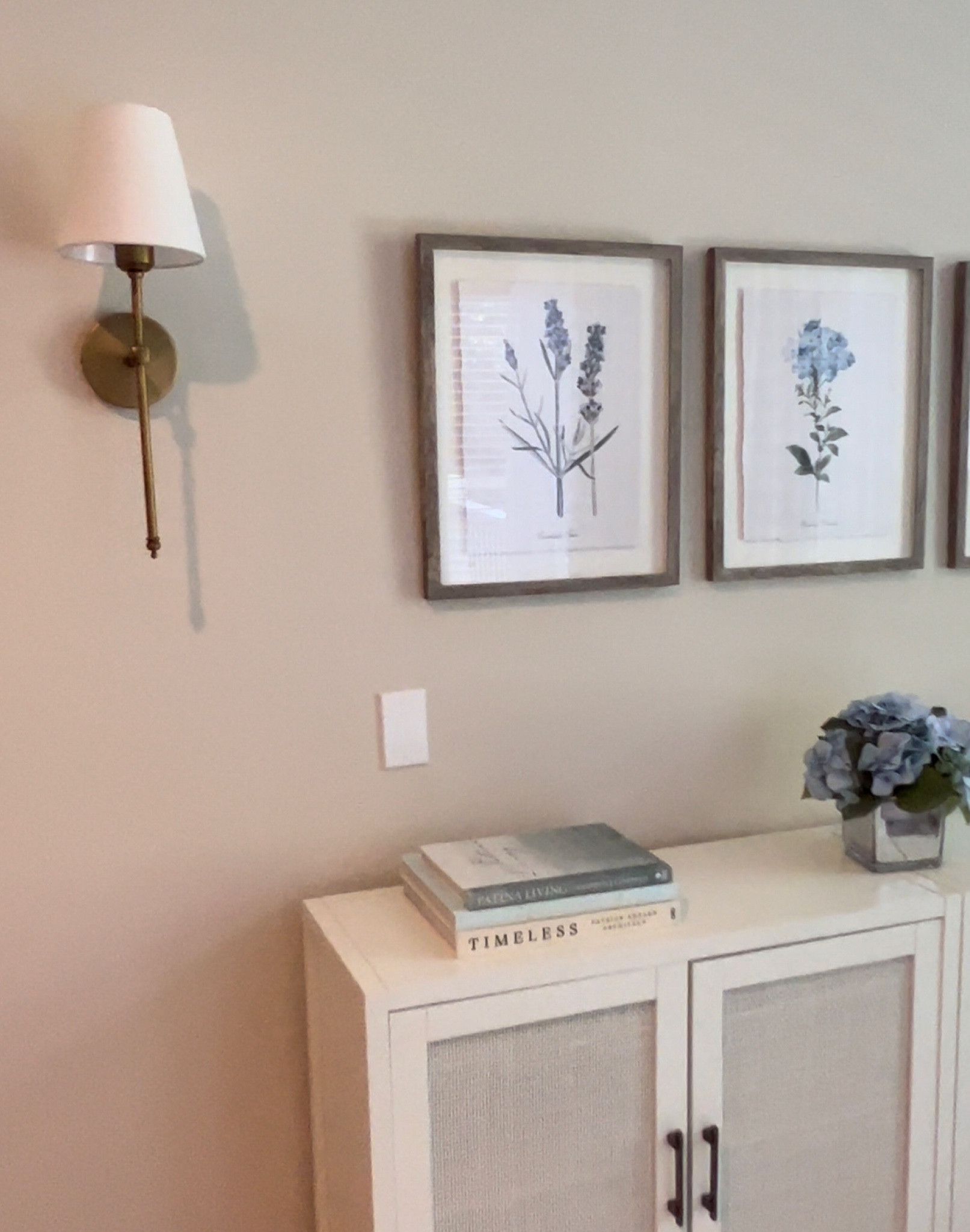 Sconces with Amazon “magic” lights. Target cabinets and prints 

#LTKhome