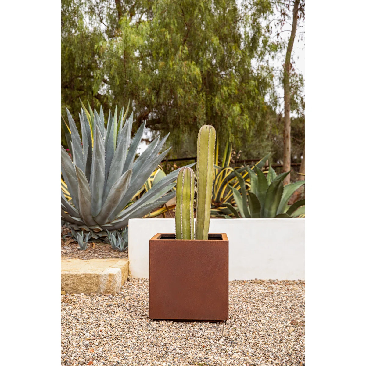 Corten Steel Series Cube Planter Box | AllModern