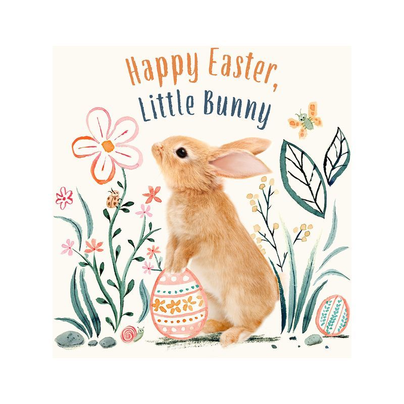 Happy Easter, Little Bunny - (Baby Animal Tales) by  Amanda Wood (Board Book) | Target