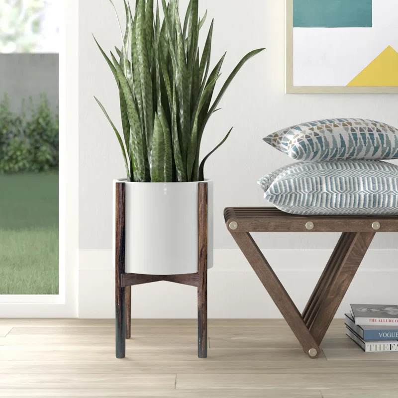 Isabelle Pot Planter | Wayfair North America