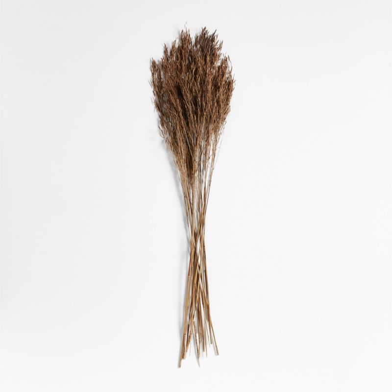 Brown Chorao Decorative Dried Grass Bunch + Reviews | Crate & Barrel | Crate & Barrel