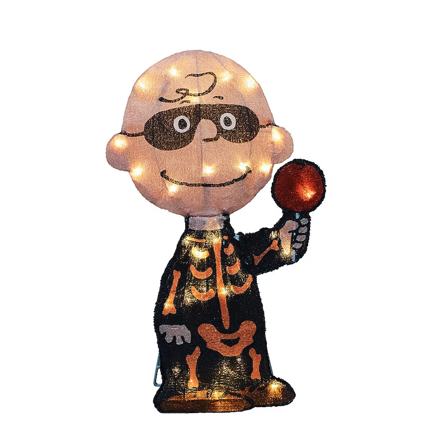 ProductWorks 1.51-ft Yard stake Lighted Peanuts Worldwide Peanuts Charlie Brown Skeleton Yard dec... | Lowe's