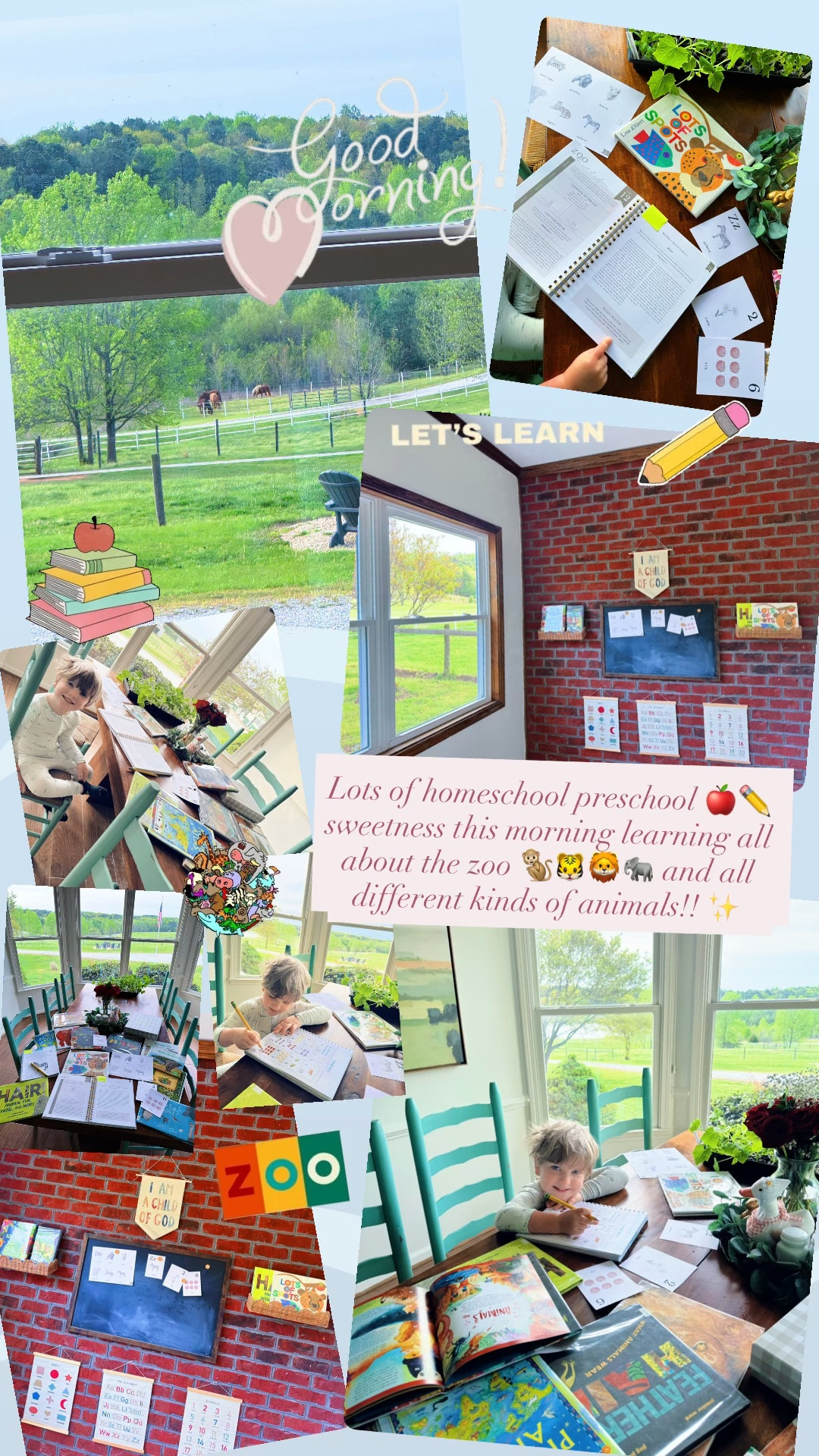 Lots of homeschool preschool 🍎✏️ sweetness this morning learning all about the zoo 🐒🐯🦁🐘 and all different kinds of animals!! ✨