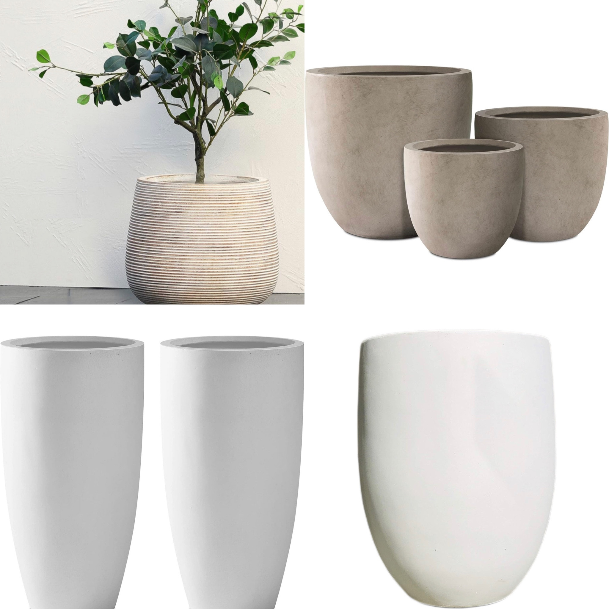 Amazon concrete planter 🪴 🤩

#LTKFind #LTKhome #LTKxNSale