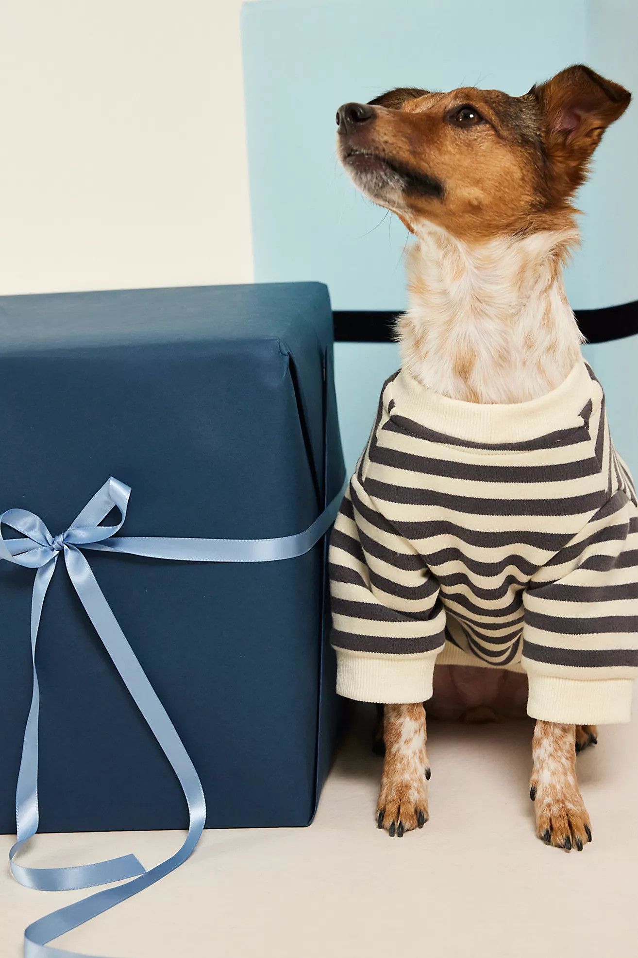 Camden Striped Dog Sweatshirt | Free People (Global - UK&FR Excluded)