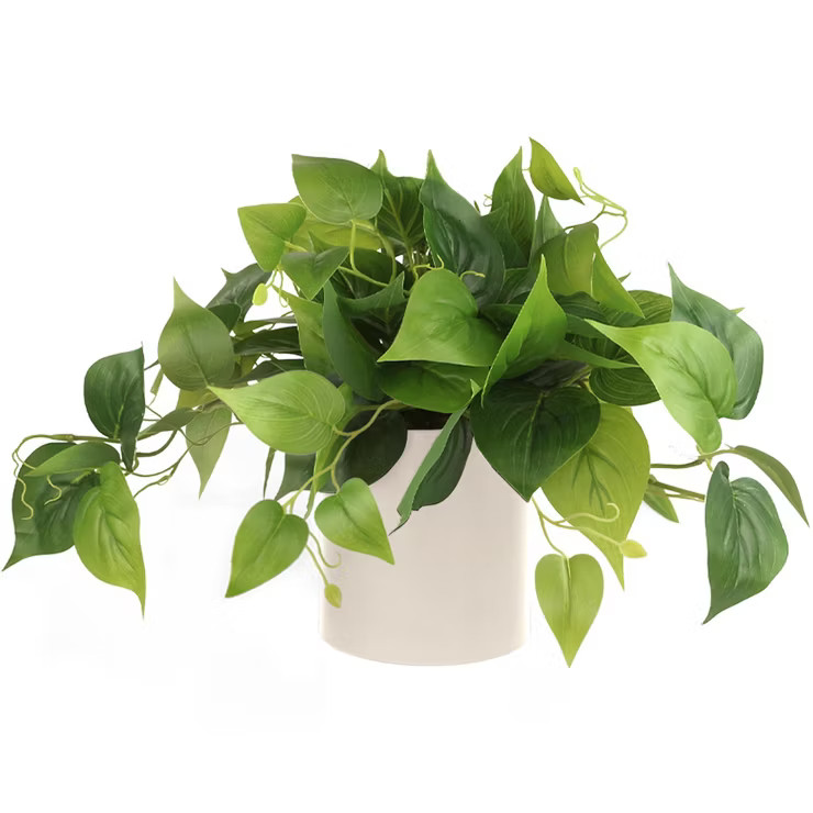 Forever Leaf Artificial Pothos Plant in a White Pot, Desk Plant for Office, Shelf Decor Greenery | Target