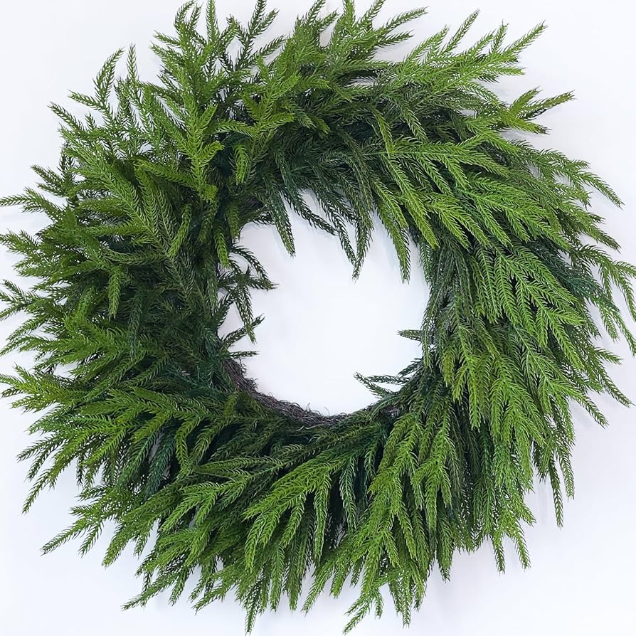 24" Real Touch Norfolk Pine Wreath for Front Door, Artificial Christmas Wreaths Faux Pine Needles... | Amazon (US)