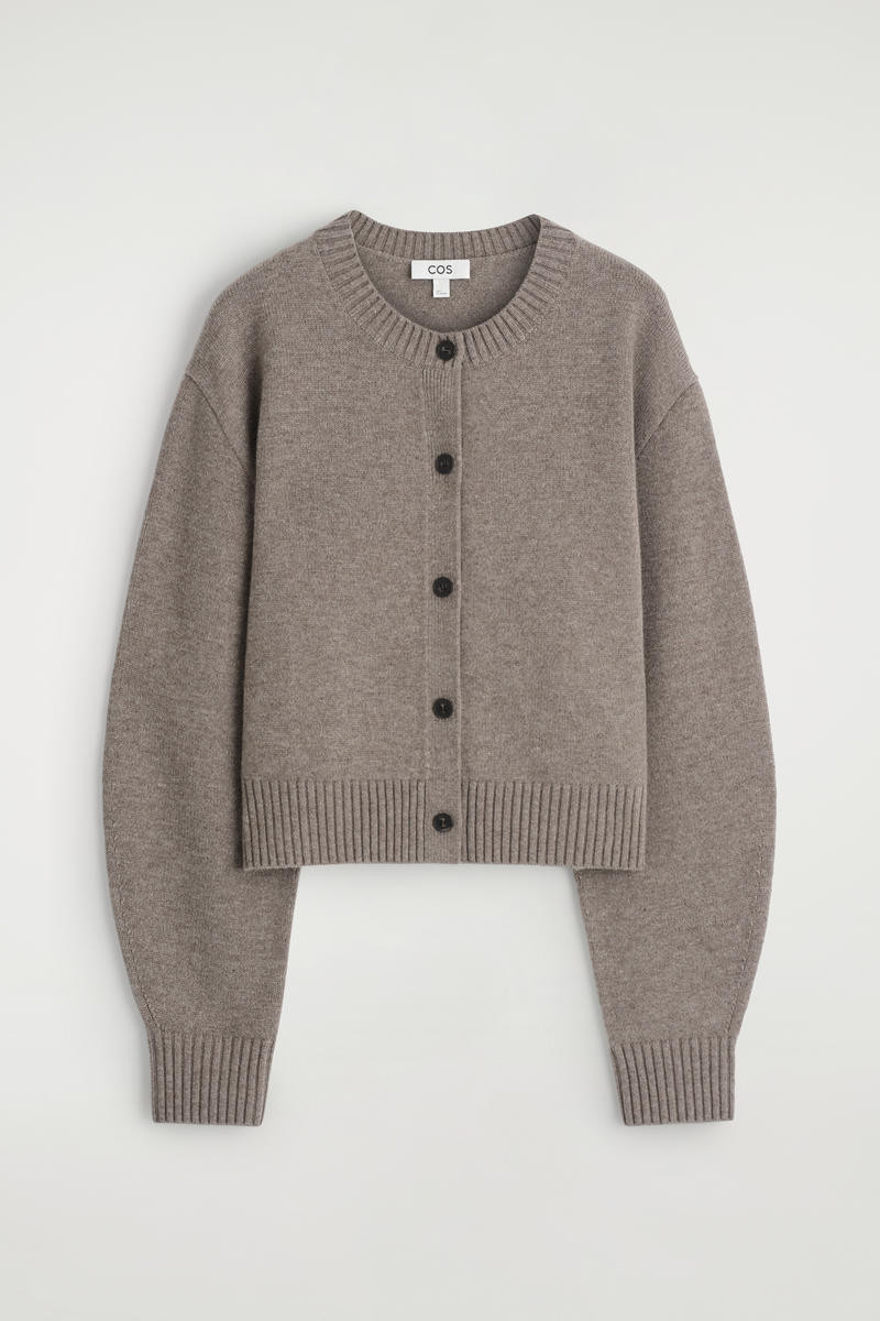 Merino Wool Cardigan | COS (US)