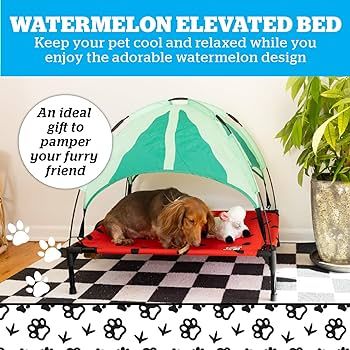 BigMouth Inc. Watermelon Elevated Bed for Dogs Medium | Amazon (US)